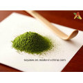 Natural Manufacturer Supply Matcha Green Tea Powder